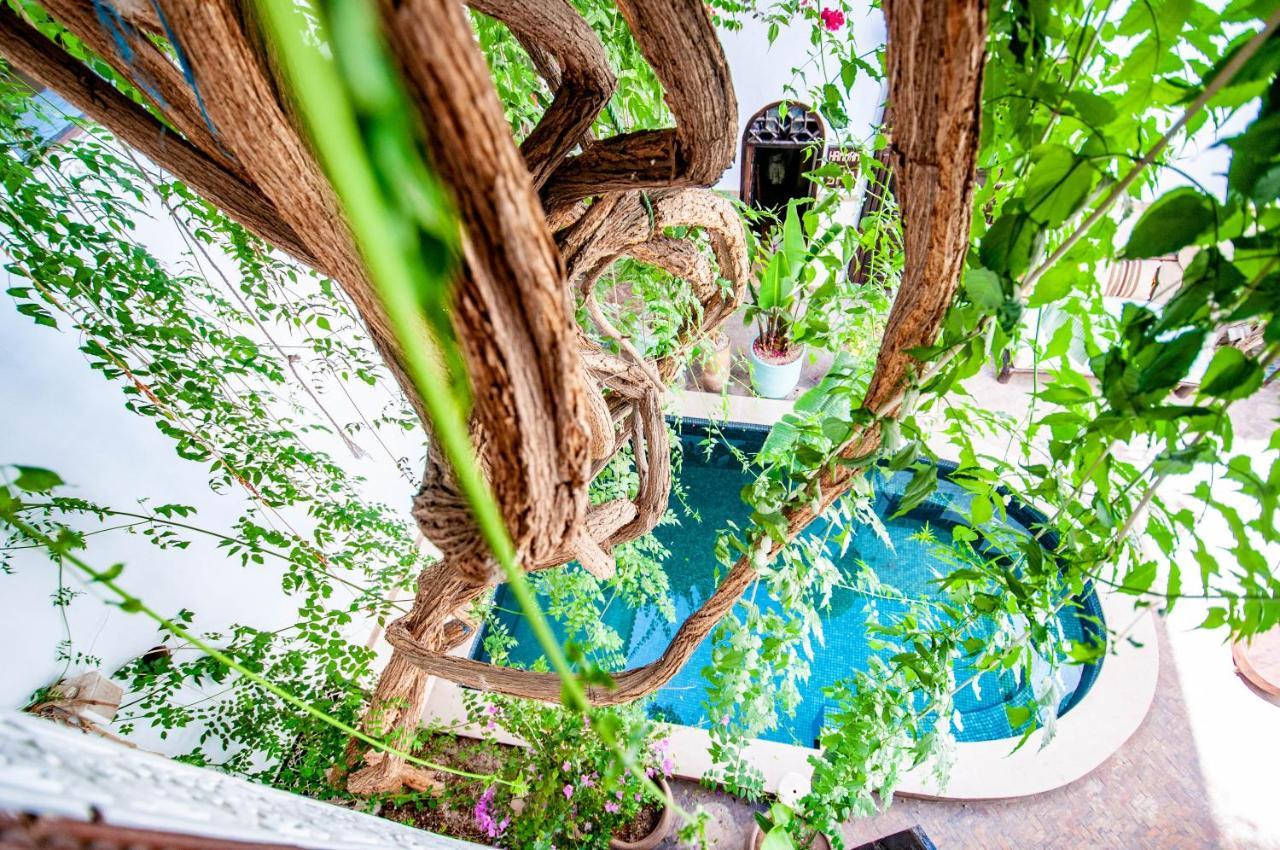 Hotel & Spa Riad Dar El Aila Марракеш Экстерьер фото