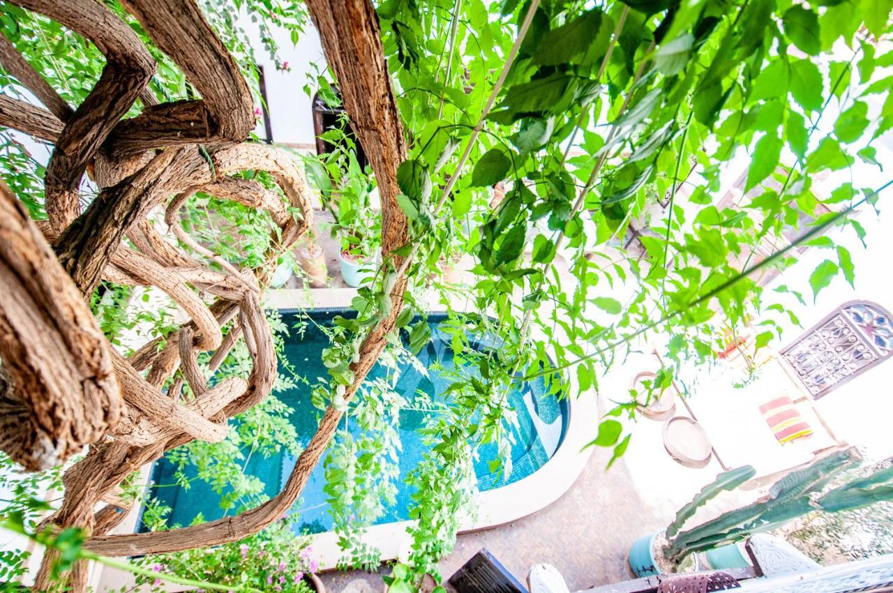 Hotel & Spa Riad Dar El Aila Марракеш Экстерьер фото